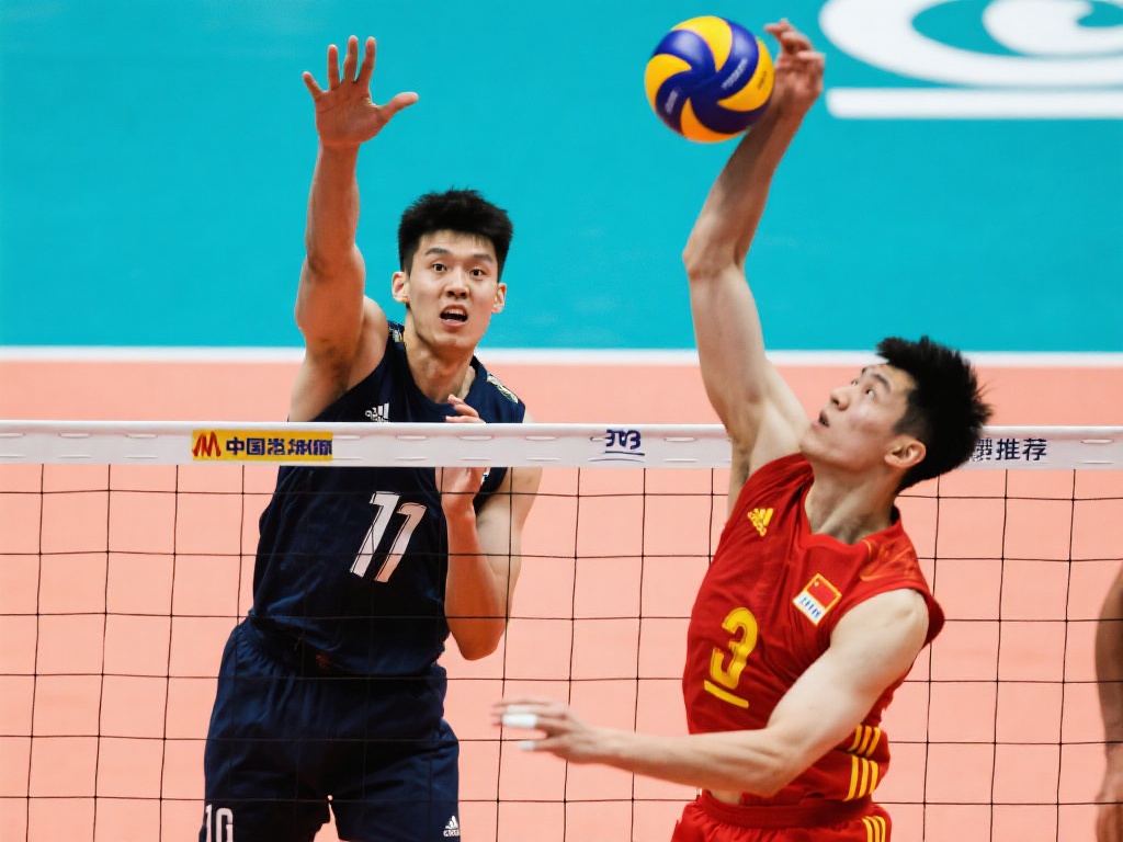 罗克将与巴 罗克将与巴